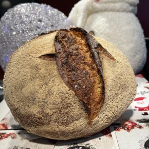 Petit épeautre